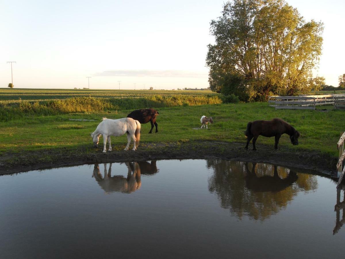 Villa Horse Lake Ranch à Neuendorf  Extérieur photo